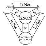 numogram