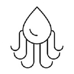 Octo