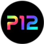 P12 Project Twelve