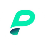 Page Network