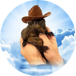 Peanut #1 Tiktok Squirrel