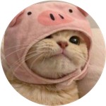 PigCatSol