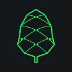 Pine