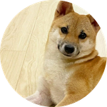 pochita