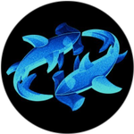 Poolshark Protocol