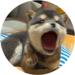 POPDOG