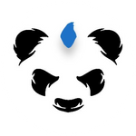 PunkPanda