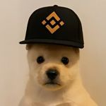 PUP