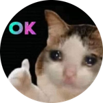 Purrfectly Okay Coin
