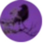 Raven
