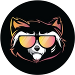 Rocket Raccoon