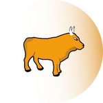 Rodeo