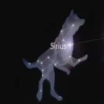 sirius the dog starsirius the dog star