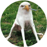 Smoking Eagle Dog