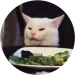 Smudge The Cat