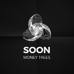 Soon Coin