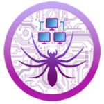 SPIDER VPS