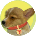 SUNPUP