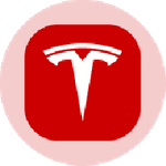 Tesla (Ondo Tokenized)