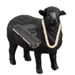 The black sheep