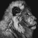 Thelionrapesthedogwhenitbarks