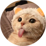 Tongue Cat