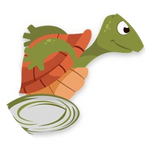 Turtle Fly