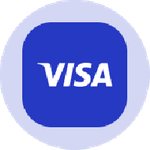 Visa Tokenized Stock (Ondo)