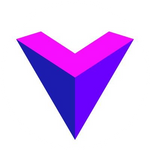 Voxel X Network