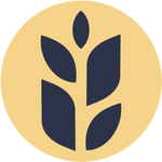 Wheat