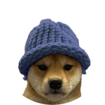 WIF on ETH
