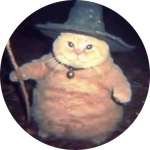 Wizard Cat