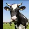 A free range grass fed runner icon