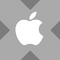 Apple tokenized stock (xStock)