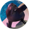 Arie The Sealion (ARIE)