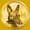 Belgian Malinois