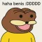 BENIS (BENIS)
