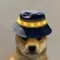 BNB DOGE (BOGE)