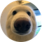 Boop (BOOP)