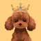 BunPoodle icon