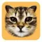 #cat (#cat)