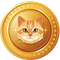 Cat Token (BNB)