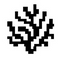 Coral Protocol (CORAL)