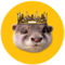 Degen The Otter icon