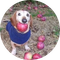 dog with apple in mouth (APPLE)