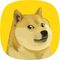 DogeOS icon