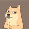 Doge's Retarded Brother (DUGG)