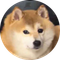 doge秽土转生版真名