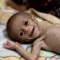 FEED GAZA (GAZA)