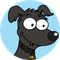 GoodBoy (GOODBOY)